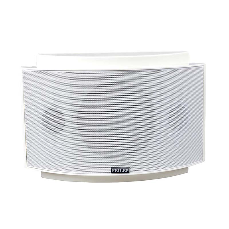 Security System Surface Mount Speakers
